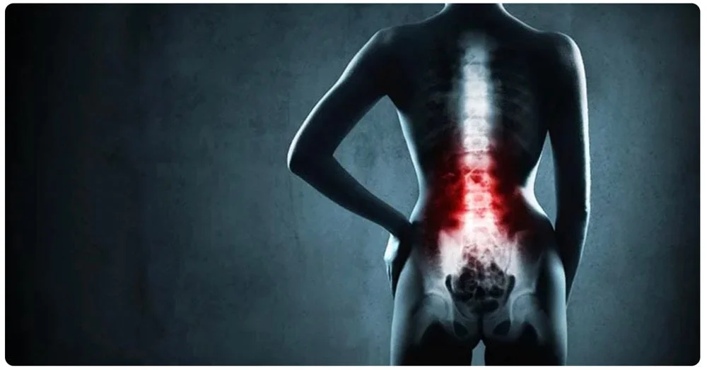 Med School Professor Reveals Back Pain Reason