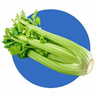 Wild Celery